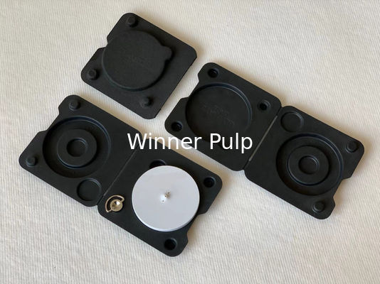 Custom Printed Boxes Thermoformed Clamshell Plastic Free Packaging